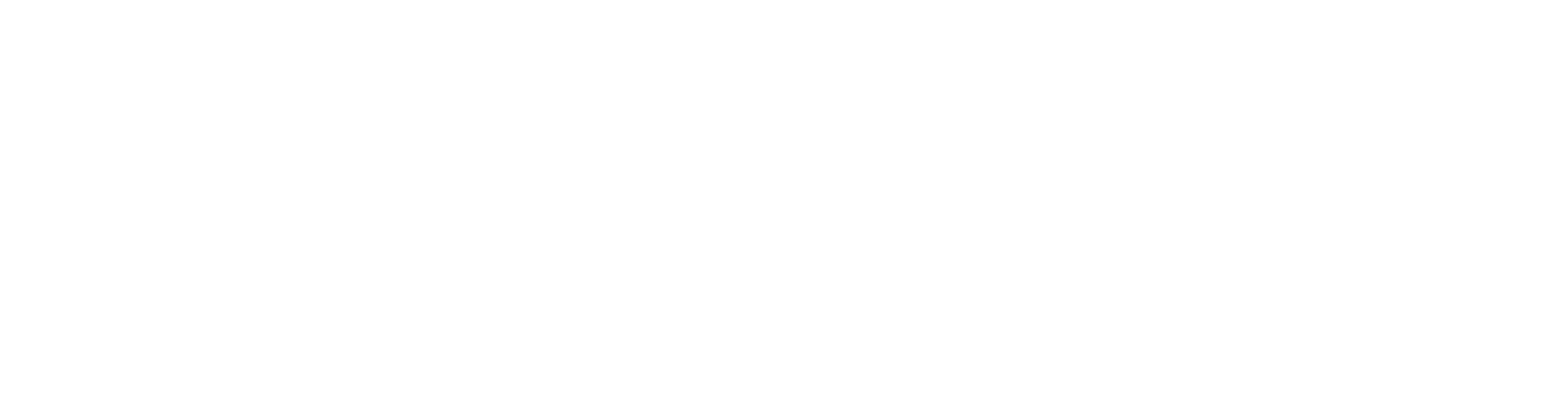 STAN MODE